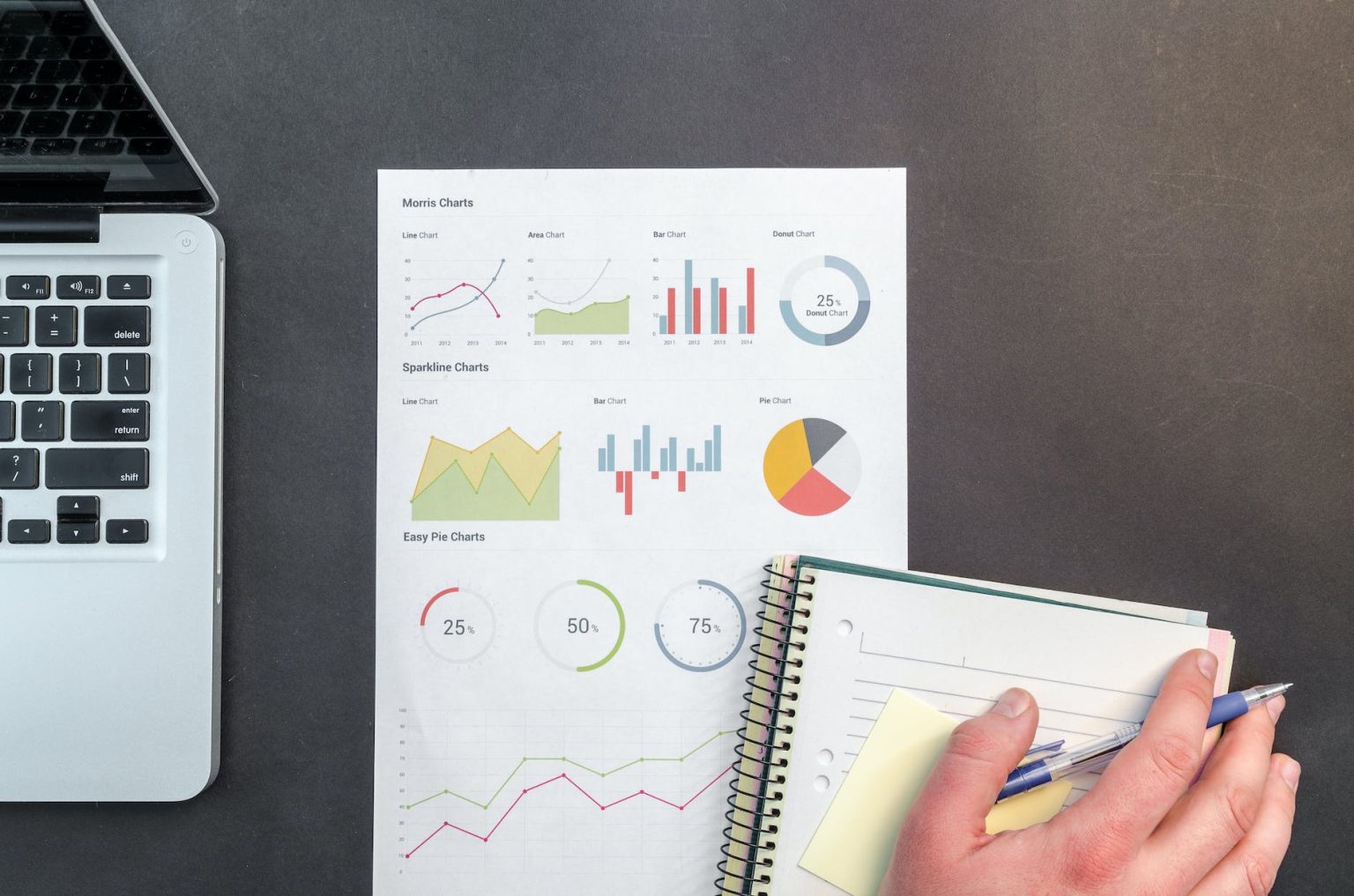 Wat doet een business controller? De chefkok van bedrijfsgegevens Gozer.nl
