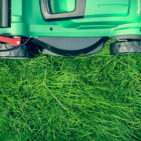 green and black lawnmower on green grass