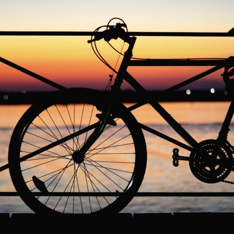 silhouette of park bicycle near body of water