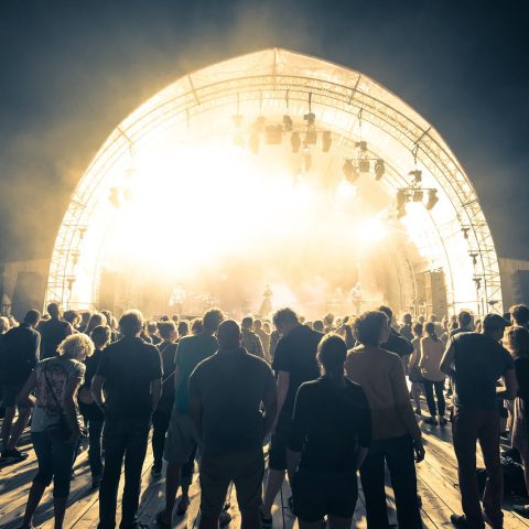 Menigte bij een buitenfestival in de zomer met podia en festivalsfeer