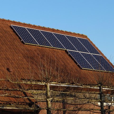 Zonnepanelen op een woning in de herfst met lage zonstand