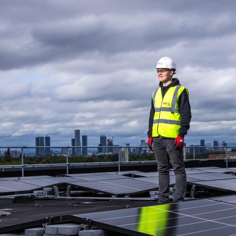 Zonnepanelen op het dak van een Nederlandse woning